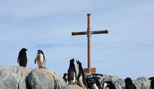 Adelie penguins gather at the base of a memorial at Mawson’s Hut in Commonwealth Bay, Antarctica, Jan. 16. No word has emerged on what Pope Francis’ climate change and environmental degradation encyclical might say or when it would appear in 2015, but references by officials at the Pontifical Council for Justice and Peace have pointed to a document that Catholics can apply in everyday life. Photo: CNS photo/Dean Lewins, EPA 