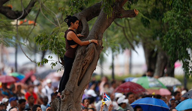 A YOUNG WOMAN WATCHES FROM A TREE AS SHE WAITS FOR POPE FRANCIS TO ARRIVE FOR A MEETING WITH YOUNG PEOPLE AT THE FATHER FELIX VARELA CULTURAL CENTER IN HAVANA SEPT. 20. (CNS PHOTO/PAUL HARING) 